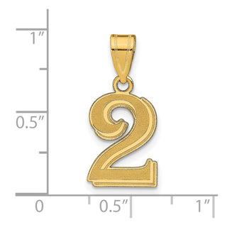 14k Yellow Gold Polished Etched Number 2 Pendant