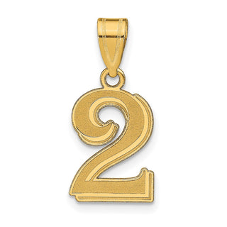 14k Yellow Gold Polished Etched Number 2 Pendant
