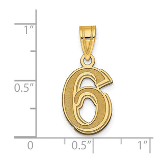 14k Yellow Gold Polished Etched Number 6 Pendant