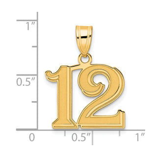 14k Yellow Gold Polished Etched Number 12 Pendant
