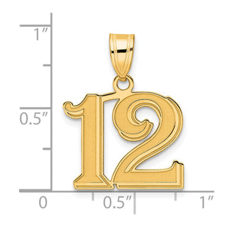 14k Yellow Gold Polished Etched Number 12 Pendant