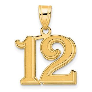 14k Yellow Gold Polished Etched Number 12 Pendant