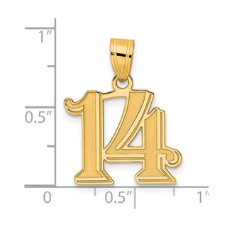 14k Yellow Gold Polished Etched Number 14 Pendant