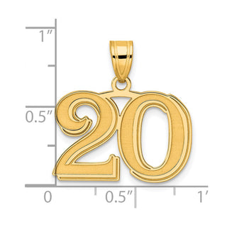 14k Yellow Gold Polished Etched Number 20 Pendant