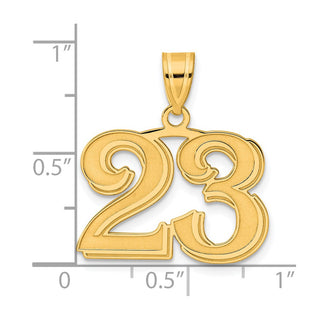 14k Yellow Gold Polished Etched Number 23 Pendant