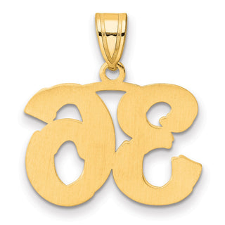 14k Yellow Gold Polished Etched Number 36 Pendant