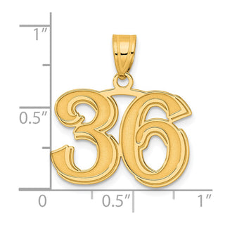 14k Yellow Gold Polished Etched Number 36 Pendant