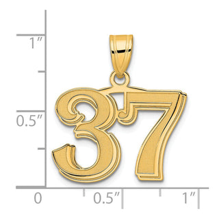 14k Yellow Gold Polished Etched Number 37 Pendant