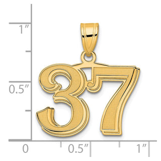 14k Yellow Gold Polished Etched Number 37 Pendant