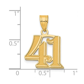 14k Yellow Gold Polished Etched Number 41 Pendant