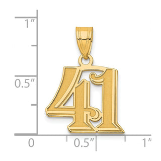 14k Yellow Gold Polished Etched Number 41 Pendant