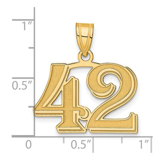 14k Yellow Gold Polished Etched Number 42 Pendant