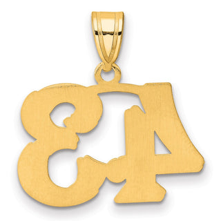 14k Yellow Gold Polished Etched Number 43 Pendant