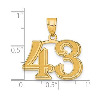 14k Yellow Gold Polished Etched Number 43 Pendant