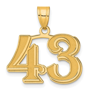 14k Yellow Gold Polished Etched Number 43 Pendant