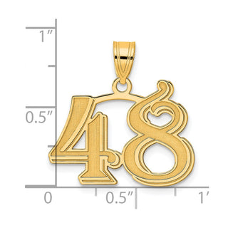 14k Yellow Gold Polished Etched Number 48 Pendant