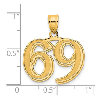 14k Yellow Gold Polished Etched Number 69 Pendant