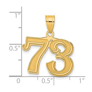 14k Yellow Gold Polished Etched Number 73 Pendant