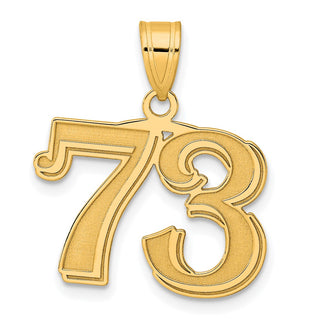 14k Yellow Gold Polished Etched Number 73 Pendant