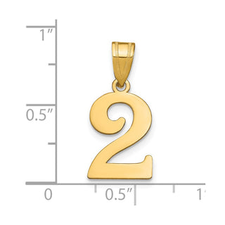 14k Yellow Gold Polished Number 2 Pendant APN02