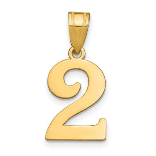 14k Yellow Gold Polished Number 2 Pendant APN02