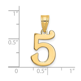 14k Yellow Gold Polished Number 5 Pendant APN05