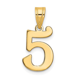 14k Yellow Gold Polished Number 5 Pendant APN05