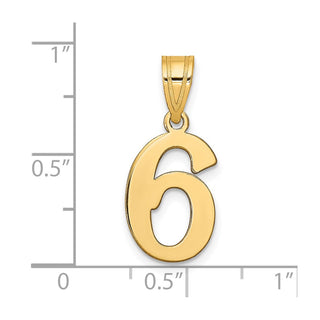 14k Yellow Gold Polished Number 6 Pendant APN06