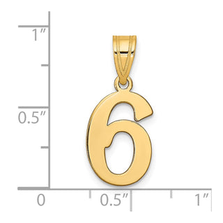 14k Yellow Gold Polished Number 6 Pendant APN06