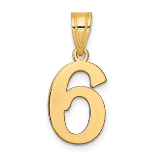 14k Yellow Gold Polished Number 6 Pendant APN06