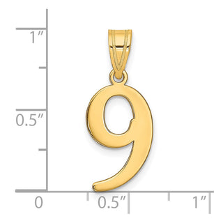 14k Yellow Gold Polished Number 9 Pendant APN09
