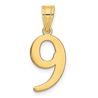 14k Yellow Gold Polished Number 9 Pendant APN09