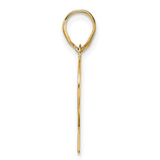 14k Yellow Gold Polished Number 12 Pendant APN12