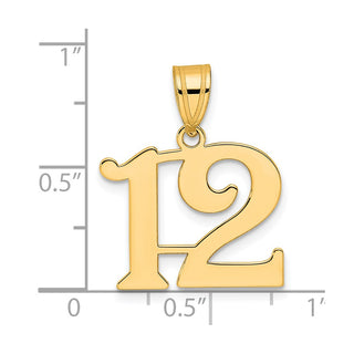 14k Yellow Gold Polished Number 12 Pendant APN12
