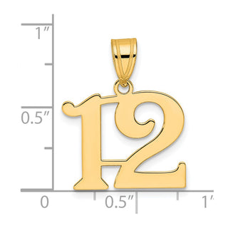 14k Yellow Gold Polished Number 12 Pendant APN12
