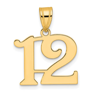 14k Yellow Gold Polished Number 12 Pendant APN12