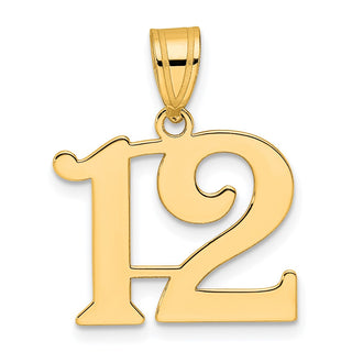 14k Yellow Gold Polished Number 12 Pendant APN12