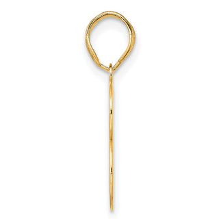 14k Yellow Gold Polished Number 13 Pendant APN13
