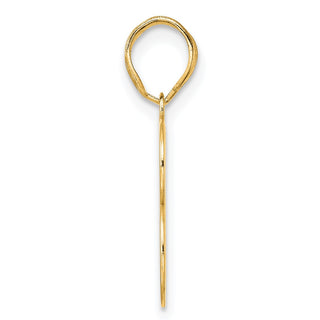 14k Yellow Gold Polished Number 13 Pendant APN13