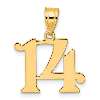14k Yellow Gold Polished Number 14 Pendant