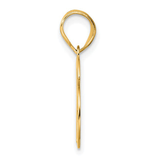 14k Yellow Gold Polished Number 16 Pendant APN16