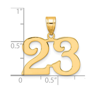 14k Yellow Gold Polished Number 23 Pendant
