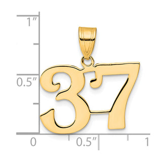 14k Yellow Gold Polished Number 37 Pendant