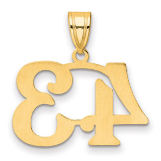 14k Yellow Gold Polished Number 43 Pendant