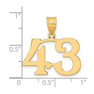 14k Yellow Gold Polished Number 43 Pendant