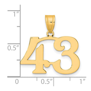 14k Yellow Gold Polished Number 43 Pendant