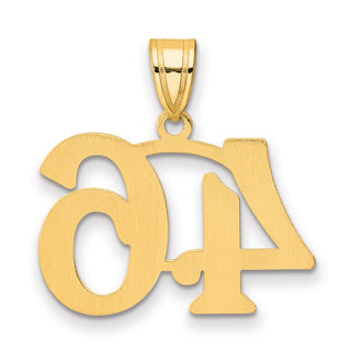 14k Yellow Gold Polished Number 46 Pendant