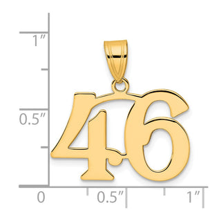 14k Yellow Gold Polished Number 46 Pendant