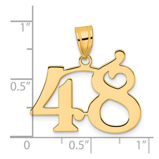 14k Yellow Gold Polished Number 48 Pendant