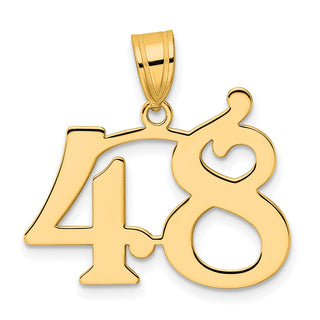 14k Yellow Gold Polished Number 48 Pendant